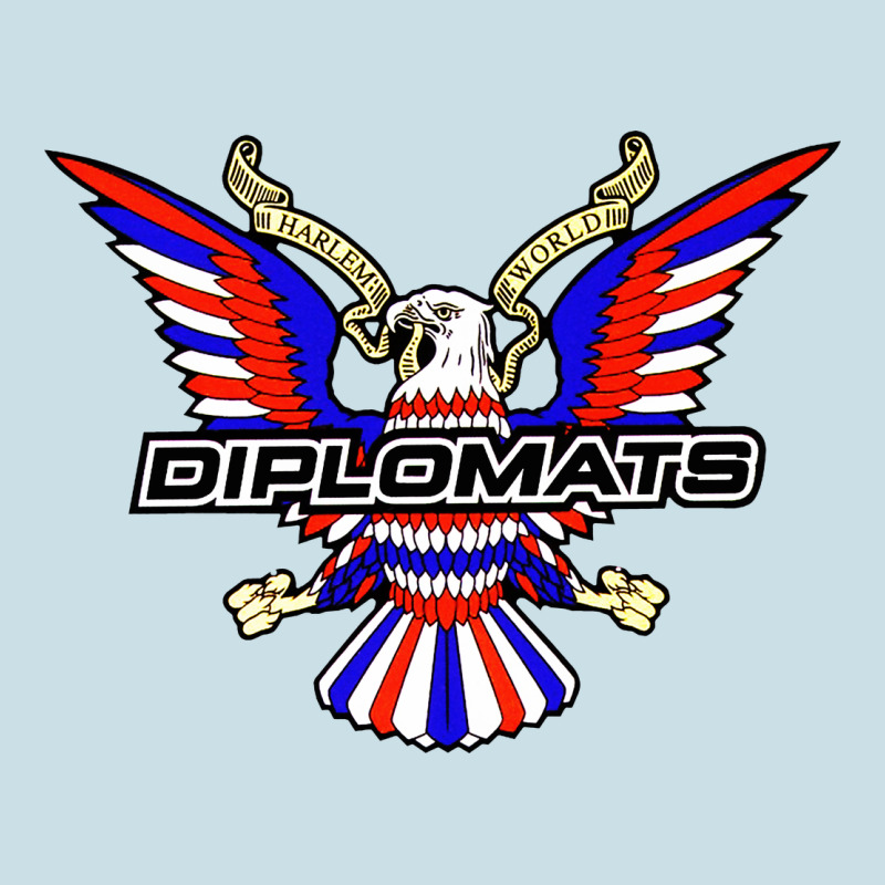 Diplomats Music Ladies Tee by artisFamous | Teevron