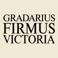 Gradarius Firmus Victoria Ladies Tee | Teevron