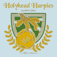 Holyhead Harpies Ladies Tee | Teevron
