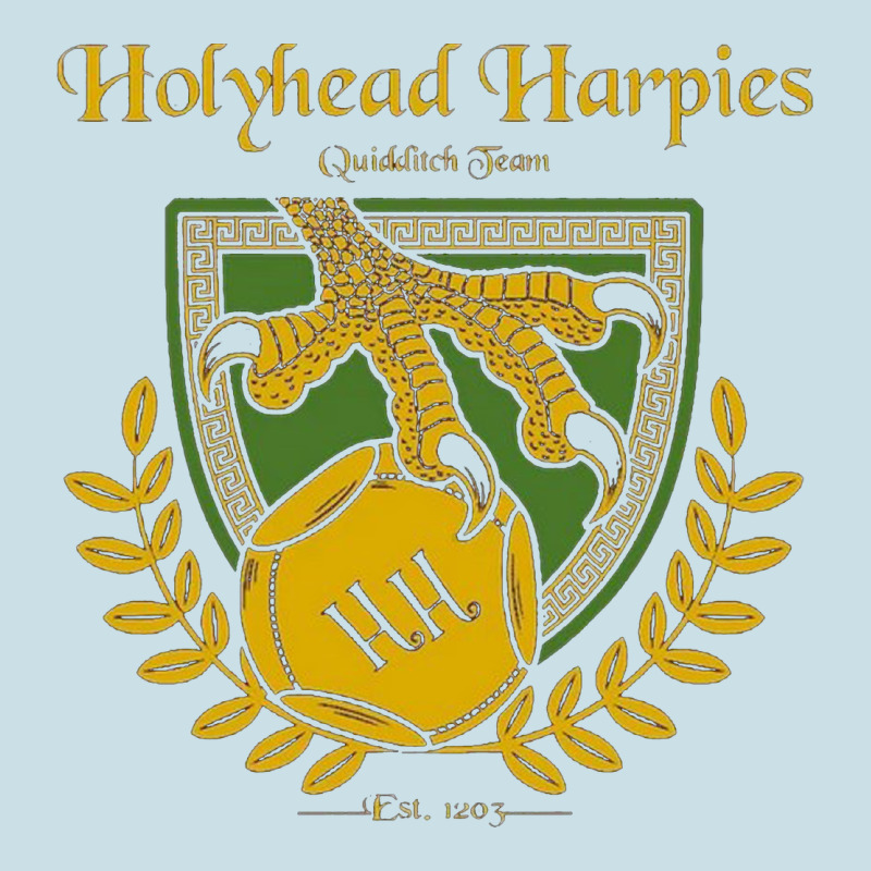Holyhead Harpies Ladies Tee by artisFamous | Teevron