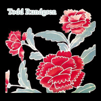 Todd Rundgren Album Art Ladies Tee | Teevron