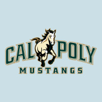 Cal Poly Mustangs Ladies Tee | Teevron