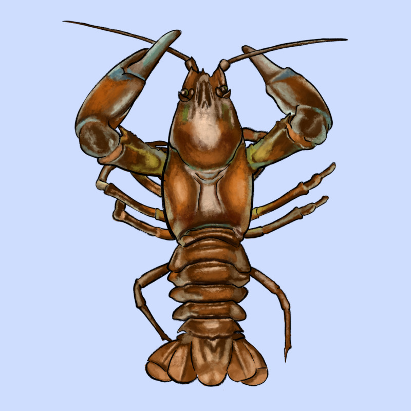 Crawfish Urban Heavy Tee by FaDigitalArtStudio | Teevron