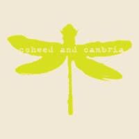 Coheed And Cambria Ladies Tee | Teevron