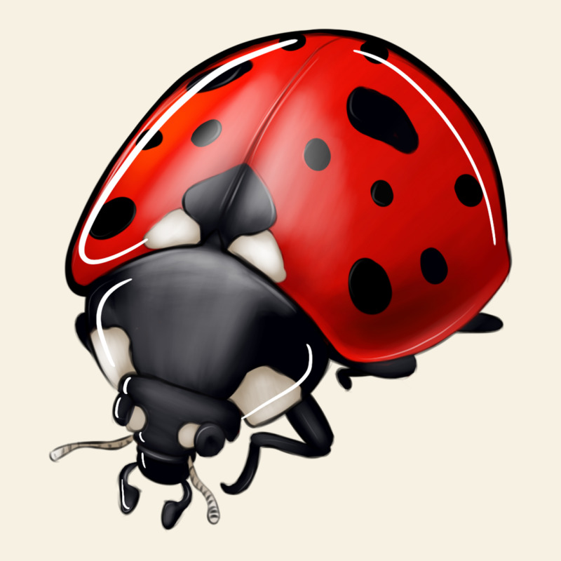 Ladybug Vintage Tee by Jasminsmagicworld | Teevron
