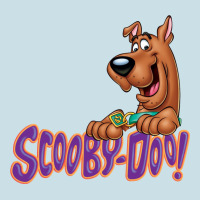 Scooby-doo Ladies Tee | Teevron