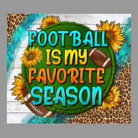 Football Is My Favorite Season Tumbler Vintage Hoodie | Teevron