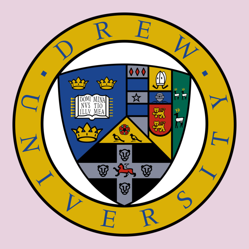 Drew University Ladies Tee by artisFamous | Teevron