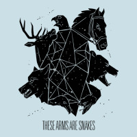 These Arms Are Snakes Ladies Tee | Teevron