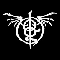 Best Lamb Of God Music Ladies Tee | Teevron
