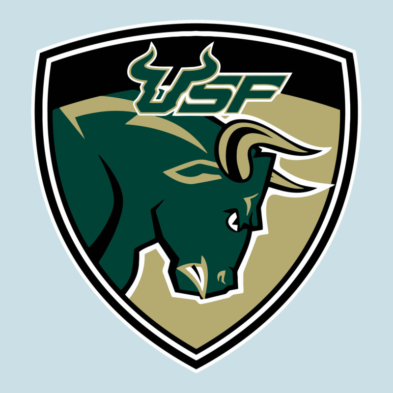 South Florida Bulls Ladies Tee by artisFamous | Teevron