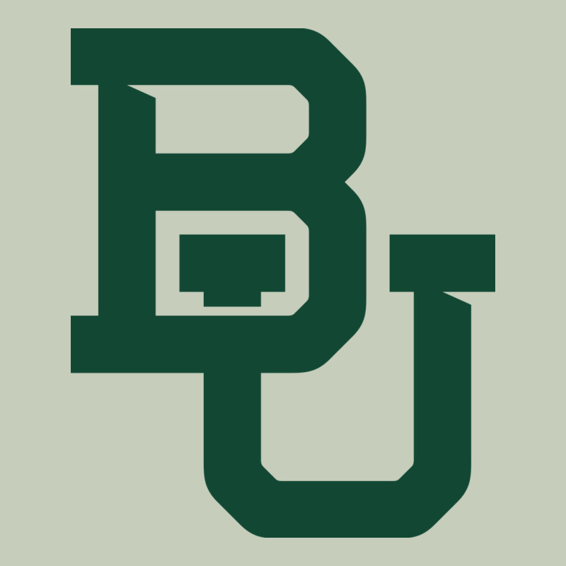 Baylor Athletics Ladies Tee by artisFamous | Teevron
