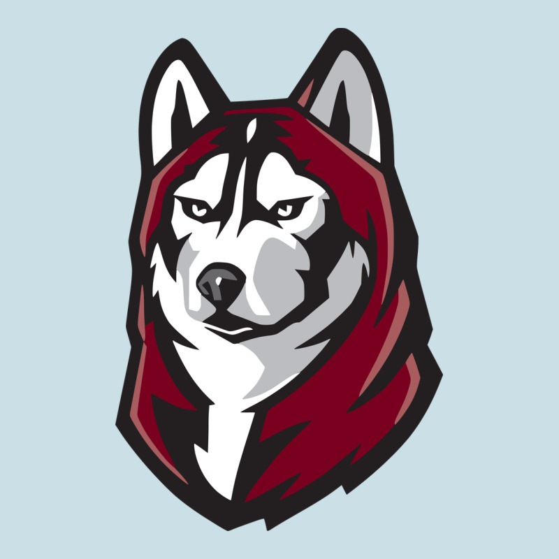Bloomsburg Huskies Ladies Tee by artisFamous | Teevron