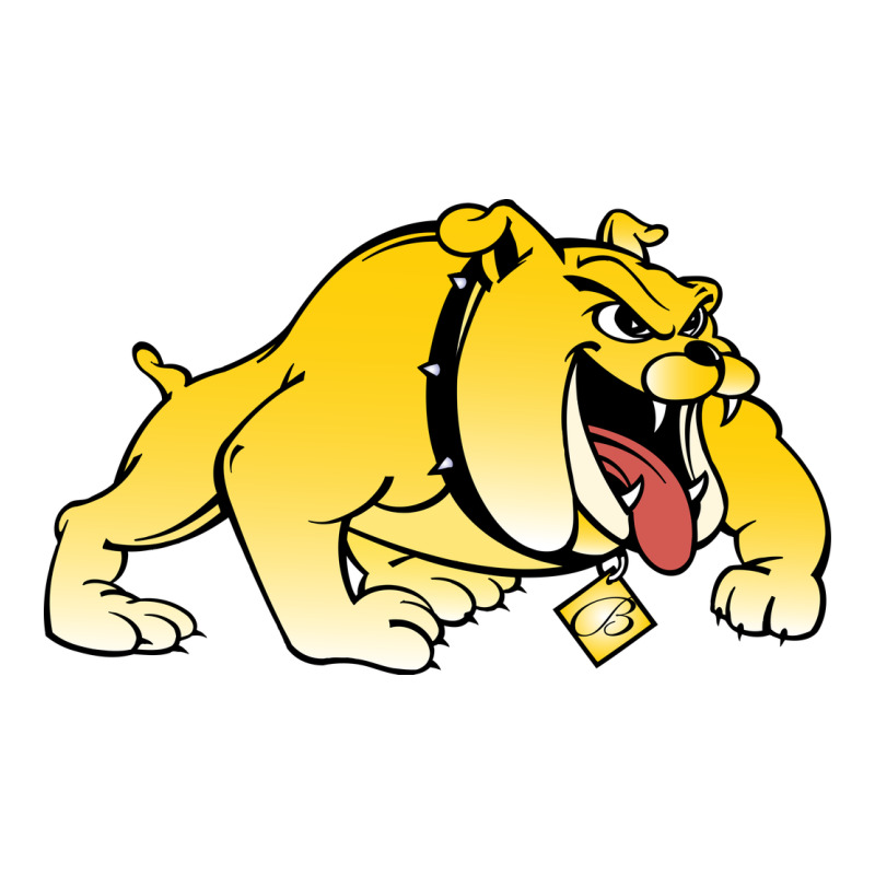 Bowie State Bulldogs Ladies Tee by artisFamous | Teevron