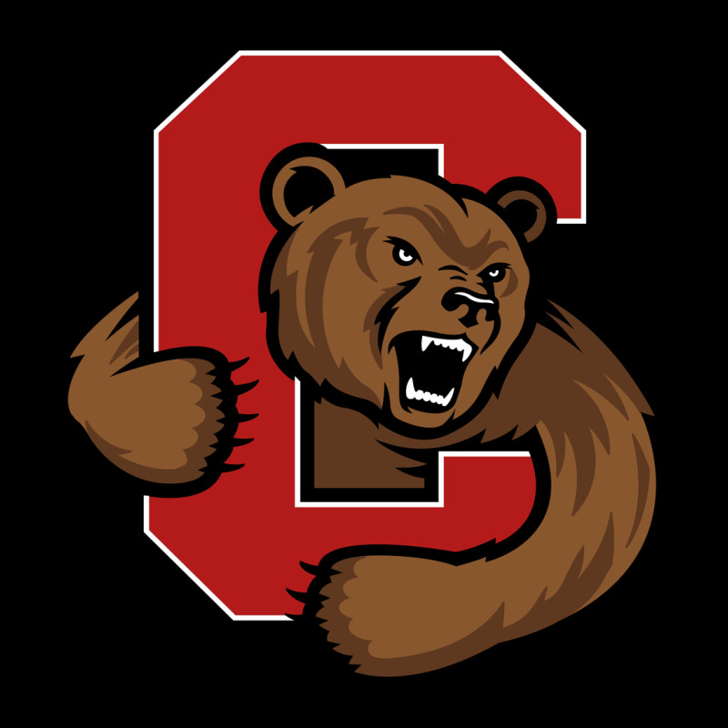 Cornell Big Red Ladies Tee by artisFamous | Teevron