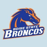 Boise Design Ladies Tee | Teevron