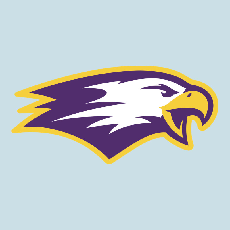 Elmira College Ladies Tee by artisFamous | Teevron