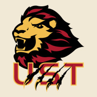 University Of Saint Thomas Spirit Ladies Tee | Teevron