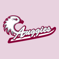 Augsburg University Ladies Tee | Teevron