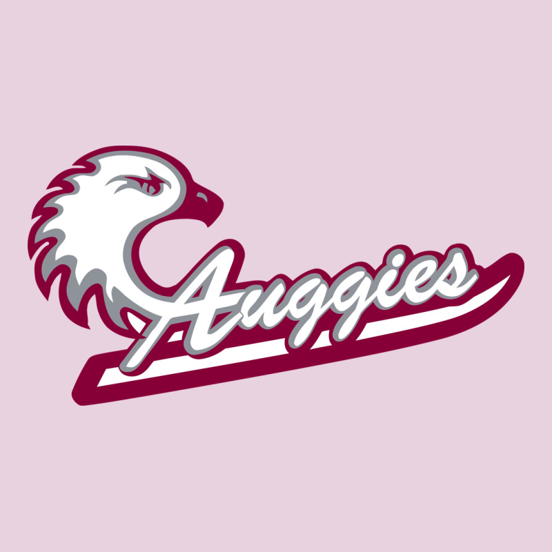 Augsburg University Ladies Tee by artisFamous | Teevron