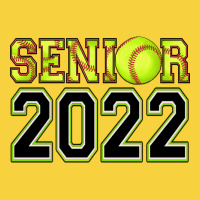 Senior Softball Premium Sweatshirt | Teevron