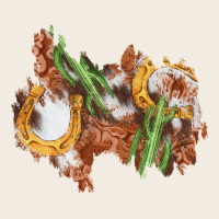 Horseshoe Cowhide Cactus Patch Premium Sweatshirt | Teevron