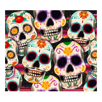cinco de mayo skull | Teevron