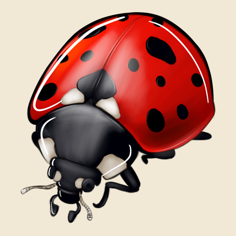 Ladybug Premium Tee by Jasminsmagicworld | Teevron