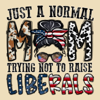 Just A Regular Mom Trying Not To Raise Liberals Premium Hoodie | Teevron