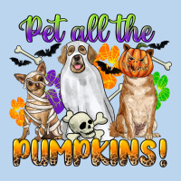 Pet All The Pumpkins Classic Tee | Teevron