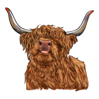 highland cow | Teevron