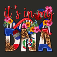 Its In My Dna Dominican Republic Heavy Core Tee | Teevron
