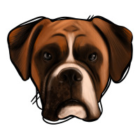 Boxer | Teevron