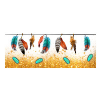native American feathers | Teevron