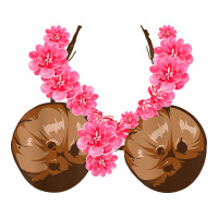 hawaiian coconut bra cool halloween flowery | Teevron