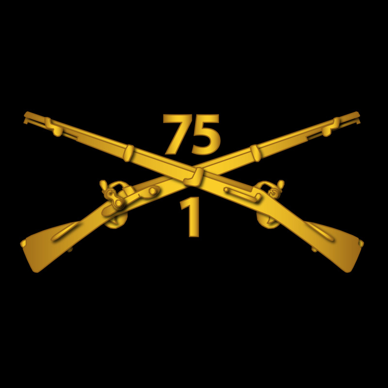 1st Bn 75th Infantry Regiment Ranger Branch Wo Txt Ladies Tee by maiPhamDesign | Teevron