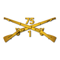 1st bn 75th infantry regiment ranger branch wo txt | Teevron