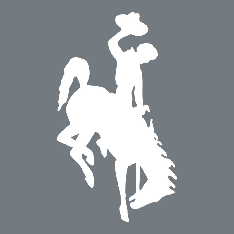 Wyoming Cowboys Heavyweight Sweatshirt by DesignPulse | Teevron