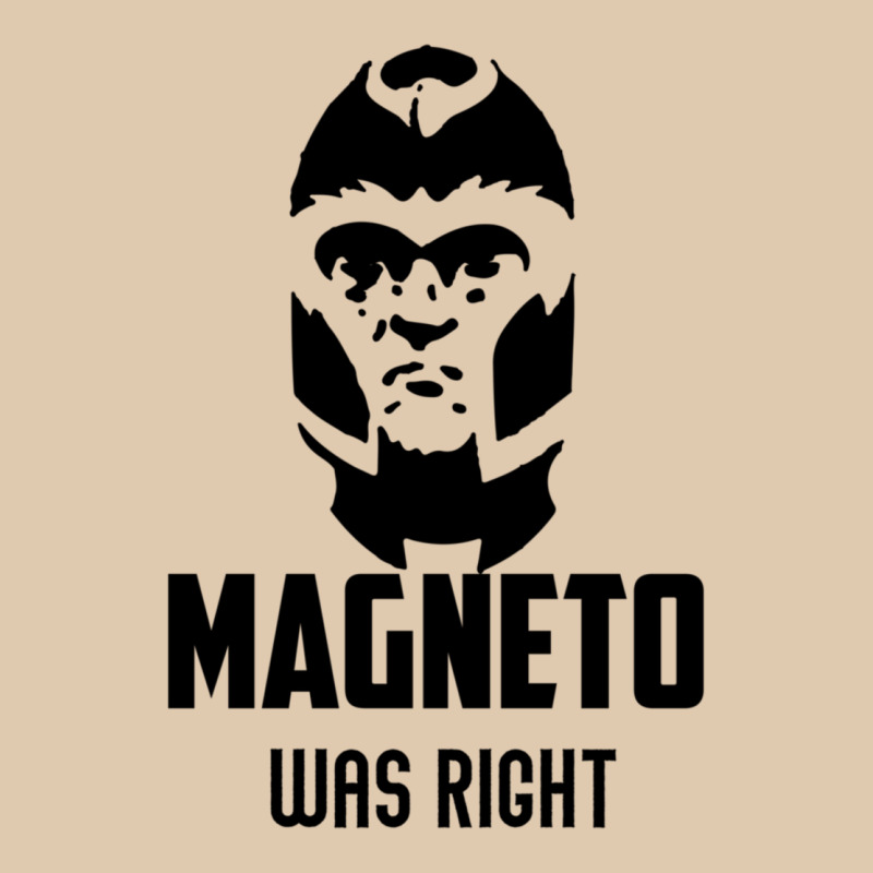 Magneto Was Right Heavyweight Sweatshirt by PixelWave | Teevron