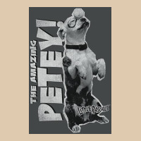 Little Rascals, Amazing Petey Heavyweight Sweatshirt | Teevron