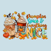 Pumpkin Spice And Everything Nice Ladies Tee | Teevron