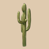 Cactus Heavyweight Sweatshirt | Teevron
