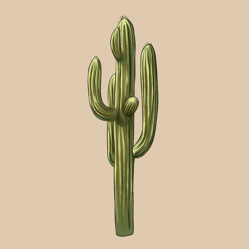 Cactus Heavyweight Sweatshirt by BarkalooDesign | Teevron