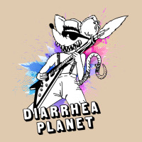 Diarrhea Planet Musician Heavyweight Sweatshirt | Teevron