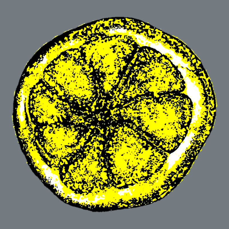 The Stone Roses Heavyweight Sweatshirt by artisFamous | Teevron