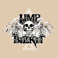 Limp Bizkit Essential Heavyweight Sweatshirt | Teevron