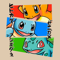 Kanto Starters Heavyweight Sweatshirt | Teevron