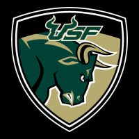 South Florida Bulls Heavyweight Sweatshirt | Teevron