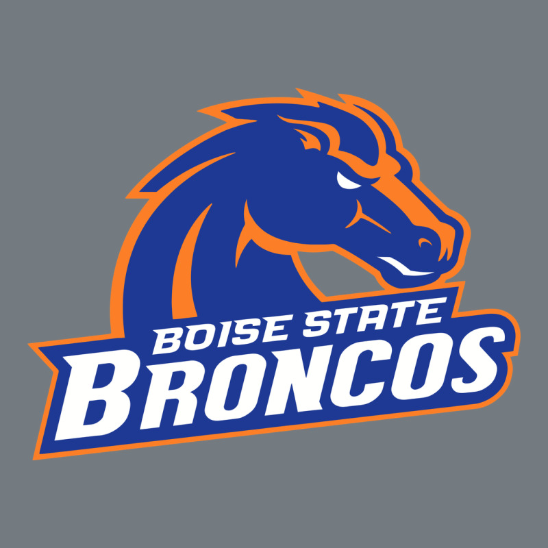 Boise Design Heavyweight Sweatshirt by artisFamous | Teevron
