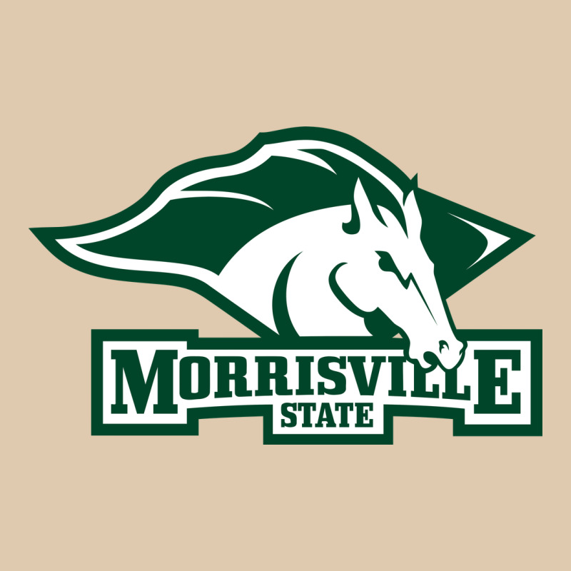 Morrisville State College Heavyweight Sweatshirt by artisFamous | Teevron
